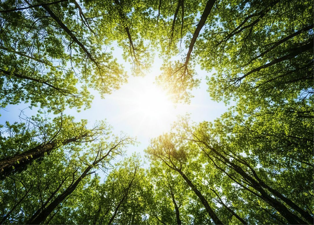 Meditazione — studio con candele